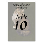 Numéro De Table Portrait de chat Maine Coon (Dos)