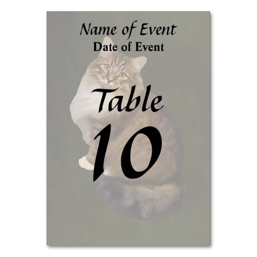Numéro De Table Portrait de chat Maine Coon (Par défaut)
