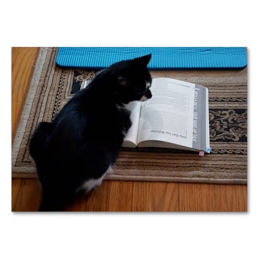 Numéro De Table Recherche de verbes, lecture de chats FlashCards p (Devant)