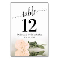 Reflet Sepia Peach Rose Mariage élégant