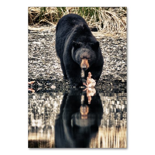 Numéro De Table Réflexions de l'ours noir (Par défaut)