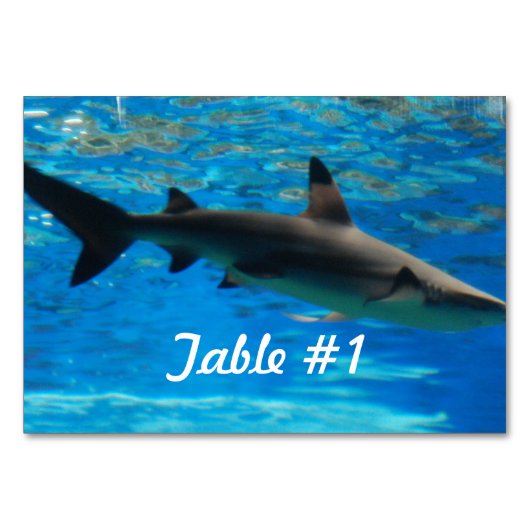 Numéro De Table Requin nageant (Devant)