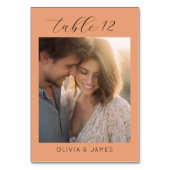 Numéro De Table Romantic Peach Elegant Photo (Dos)