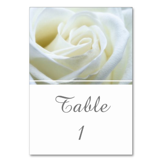 Numéro De Table Rose blanche moderne (Dos)