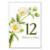 Numéro De Table Rose rocher aquarelle fleurie mariage numéro de ta (Dos)