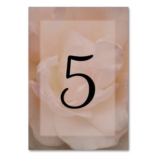 Numéro De Table Rose rose rose pâle chiffres des tables florales (Dos)
