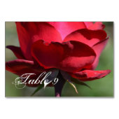Numéro De Table Rose rouge (Dos)