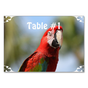 Numéro De Table Rouge écarlate Macaw