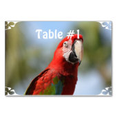 Numéro De Table Rouge écarlate Macaw (Devant)
