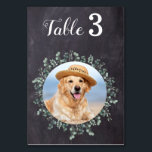 Numéro De Table Russe Chalkboard Eucalyptus Mariage Photo<br><div class="desc">Numéros de table par de vos animaux de compagnie! Inclure votre meilleur chien, meilleur chat et tout animal de compagnie dans votre mariage avec ses propres numéros de table pour vos invités. Parfait pour les amoureux de les chiens, et un numéro spécial de table de chien sera un succès à...</div>