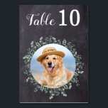 Numéro De Table Russe Chalkboard Eucalyptus Mariage photo moderne<br><div class="desc">Numéros de table par de vos animaux de compagnie! Inclure votre meilleur chien, meilleur chat et tout animal de compagnie dans votre mariage avec ses propres numéros de table pour vos invités. Parfait pour les amoureux de les chiens, et un numéro spécial de table de chien sera un succès à...</div>