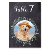 Numéro De Table Russe Eucalyptus Chalkboard Chien Photo Mariage an (Dos)