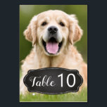 Numéro De Table Rustic Chalkboard Mariage photo moderne<br><div class="desc">Numéros de table par vos animaux ! Inclure votre meilleur chien, meilleur chat et tout animal de compagnie dans votre mariage avec ses propres numéros de table pour vos invités. Parfait pour les amoureux de les chiens, et un numéro spécial de table de chien sera un succès à votre mariage....</div>