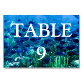 Numéro De Table Shoal of Blue Discus Fish (Dos)