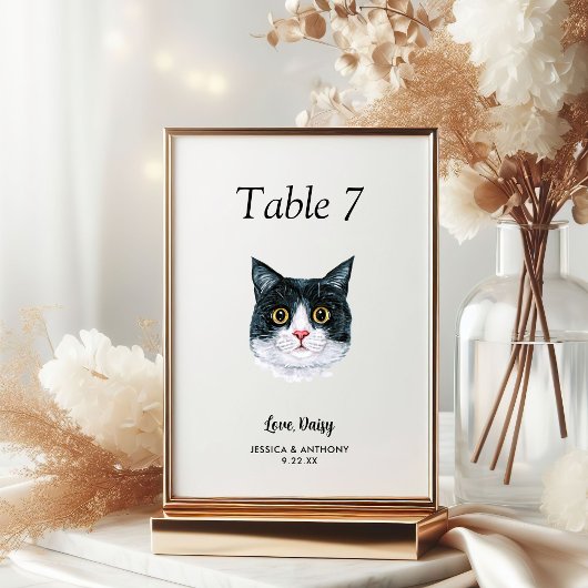 Numéro De Table Simple Aquarelle Moderne Chat Mariage