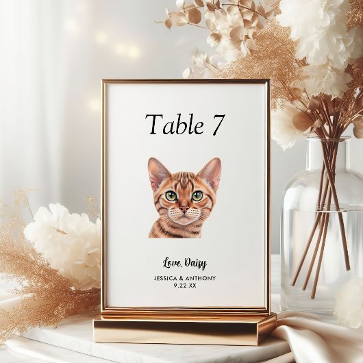Numéro De Table Simple Aquarelle Moderne Chat Mariage