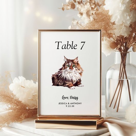 Numéro De Table Simple Aquarelle Moderne Chat Mariage