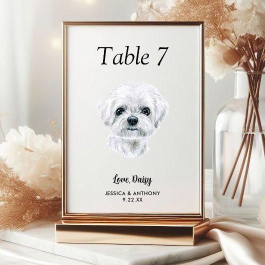 Numéro De Table Simple Aquarelle Moderne Mariage Chien 