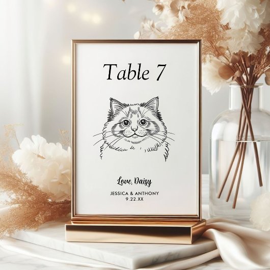 Numéro De Table Simple Mariage de Chat Noir et Blanc