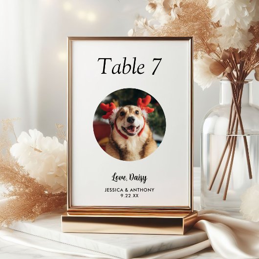 Numéro De Table Simple Mariage photo de chien noir et blanc