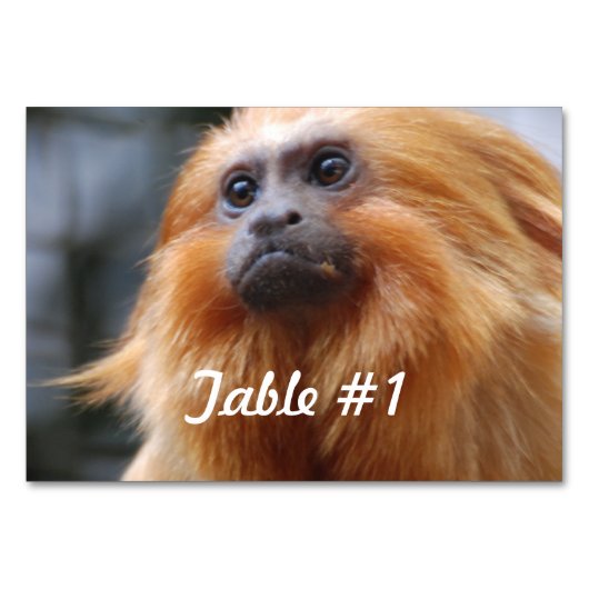 Numéro De Table Singe Lion d'or Tamarin (Devant)