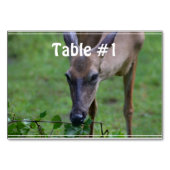 Numéro De Table Snacking Deer (Devant)