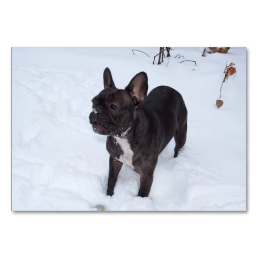 Numéro De Table Sweet Black French Bulldog aime la neige (Devant)