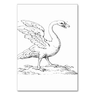Numéro De Table Symbole de l'amour et de la fidélité Swan Fine Art