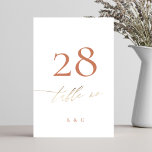 Numéro De Table Terracotta Dusty Orange Elegant Boho Mariage Or<br><div class="desc">Cette carte fait partie d'une grande collection - cliquez ci-dessous ou demandez-moi des informations</div>