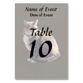 Numéro De Table Tortoiseshell (Dos)