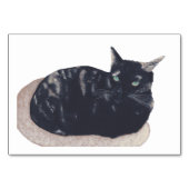 Numéro De Table Tortoiseshell Cat Reading Flashcards for Adults (Devant)