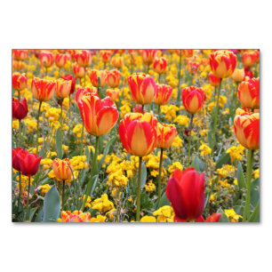Numéro De Table Tulipes, Lumineuses et colorées jaune et rouge