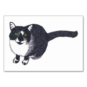 Numéro De Table Tuxedo Cat Lecture Flashcards pour adultes