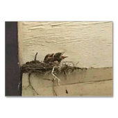 Numéro De Table Verbes Chirping Oiseaux Lire des cartes-mémoires p (Devant)