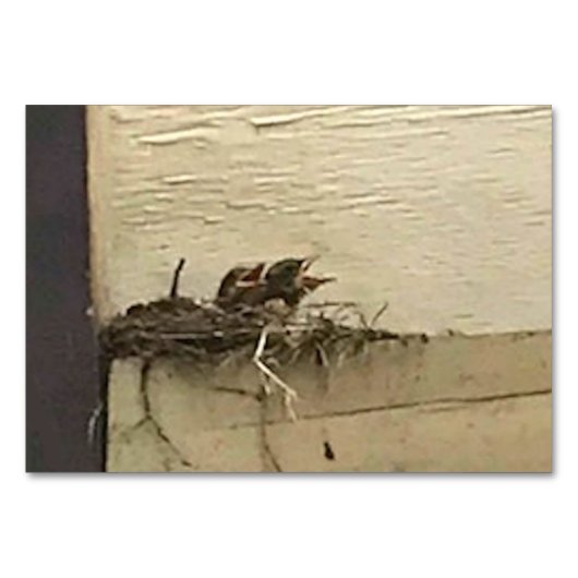 Numéro De Table Verbes Chirping Oiseaux Lire des cartes-mémoires p (Devant)