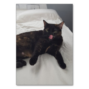 Numéro De Table Verbes en léchant chat lecture flashcards adultes