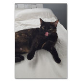 Numéro De Table Verbes en léchant chat lecture flashcards adultes (Par défaut)