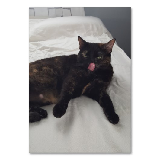 Numéro De Table Verbes en léchant chat lecture flashcards adultes (Par défaut)