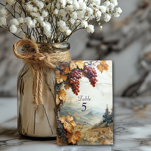 Numéro De Table Vignoble Campagne Italienne Vigne 