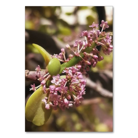 Numéro De Table Vue de l'environnement réel (Dos)