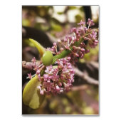 Numéro De Table Vue de l'environnement réel (Par défaut)