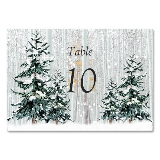 Numéro De Table Winter Wonderland Mariage Stars Pine Trees Table (Devant)