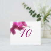 Numéro de tableau Carte postale (Debout devant)