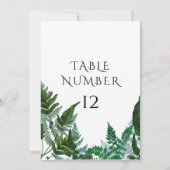 Numéro de tableau Cartes Forêt Gathered Fern Folia (Dos)