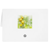 Numéros 6 24-26 Le Seigneur vous bénisse et vous g (Dos Horizontal)