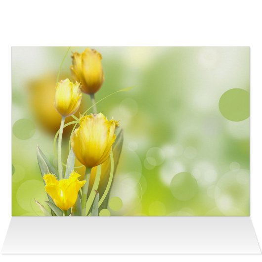 Numéros 6 24-26 Le Seigneur vous bénisse et vous g (Intérieur Horizontal (Haut))