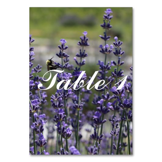 Numéros de table du Mariage de prêteur (Par défaut)