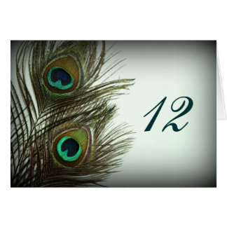 Numéros de tableau de plumes de paon