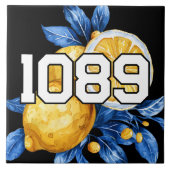 Numéros modifiables du carreau d'adresses (Devant)