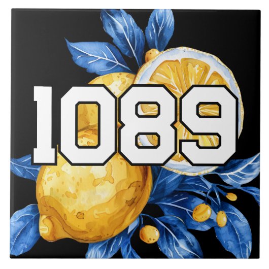 Numéros modifiables du carreau d'adresses (Devant)